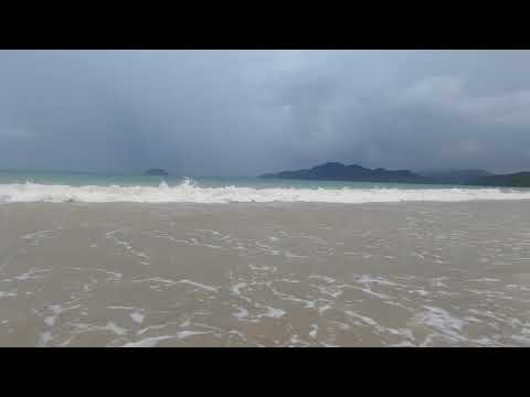 Listen to sea waves and breeze while reading your books | Ocean / seaside sounds