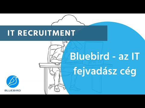 Ismerd meg IT Recruitment szolgáltatásunkat! | Bluebird (Hungarian)