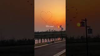 ki dil yada rakhda hai sambh sambh ke#lovesong #lyricsstatus #shortsfeed
