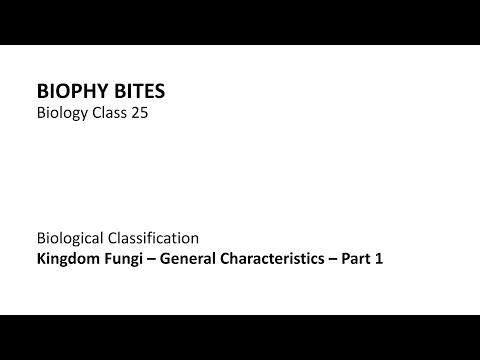 Biology Class 25 - Kingdom Fungi - General Characteristics - Part 1