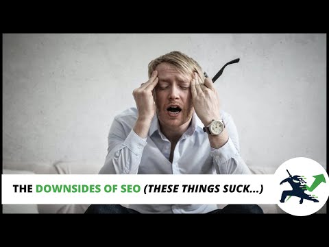 The Downsides To SEO (These Things Suck!) | SEO #shorts