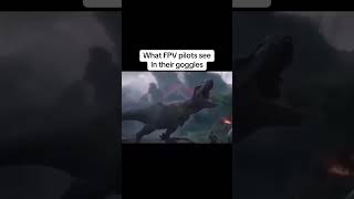 What I see inside my goggles #fpvpilot #fpvdrone