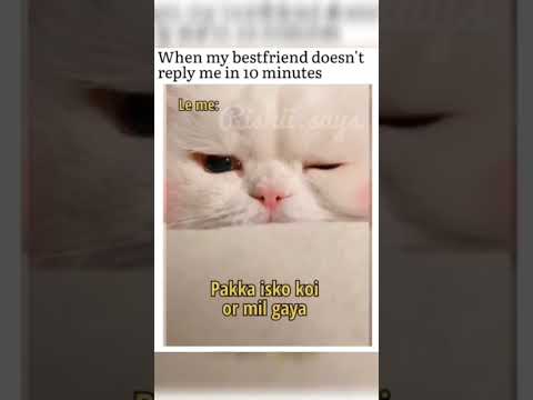 Bestfriend belike