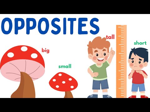 Opposite Words for Kids| Educational