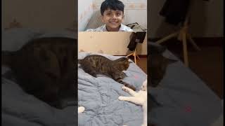 "Hilarious Tech Fails Compilation | Trending Funny Moments"