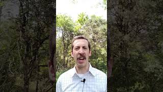 Is being a project manager not what you thought? #projectmanagement #projectmanagers