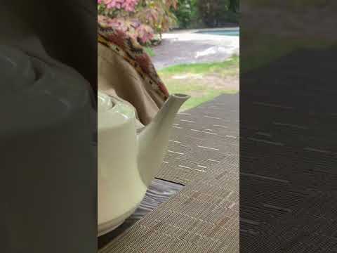 Subscribe for REMOTE WORK friendly cafes!  #remotework #workaway #solotravel #traveldiary #shorts