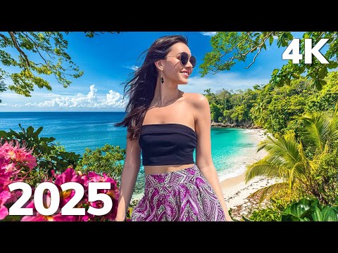 ☀️ Chill Latin Summer Beats 2025 | Bossa Nova & Deep House Fusion | Oceanfront Escape 4K