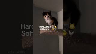 Salah software #cat #cutecat #catvideos #funny #funnycats #kucinglucu