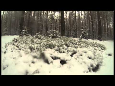 Kalašnikovo 5 gimtadienis. Gumbiškių kaimas.