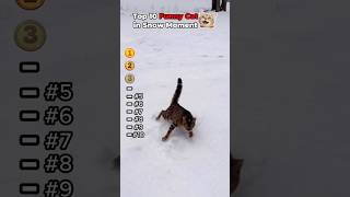 Funny Cat Snow Moment 😹❄️