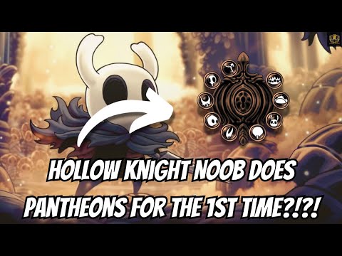 Hollow Knight Noob Does Pantheons for the 1st Time?!?!