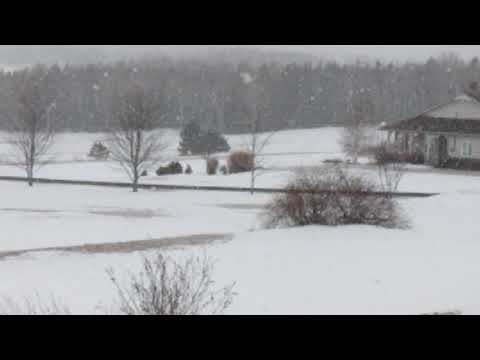 Snowy March 2020