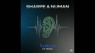 Sharpe & Numan   '' Voices ''   ( 1989 )  ( E.P. Single )