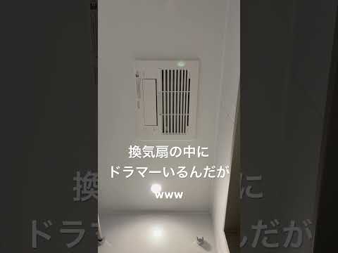 お風呂でLIVEしてます#ドラマー#新築 #お風呂 #バンド