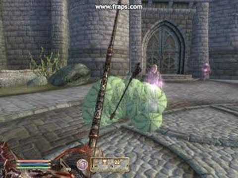 The Elder Scrolls 4: Oblivion - Greedy beggar