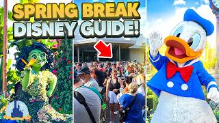 Insider Tips for SPRING BREAK AT Walt Disney World