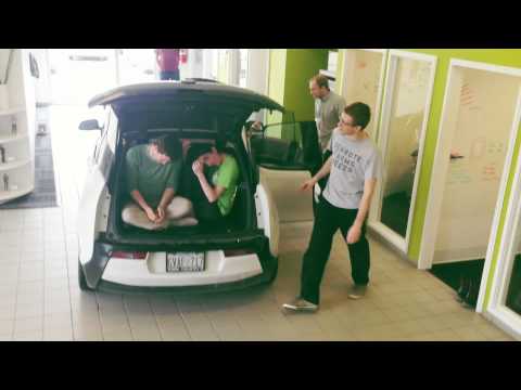 How Many Frogs Can You Fit in an Electric Car?