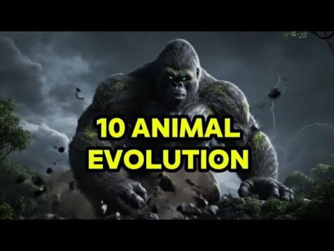 10 Animal Evolution