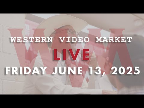 GET READY! WVM goes LIVE June 13, 2025