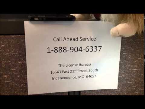 THE BGC CAT LICENSE BUREAU TIPS