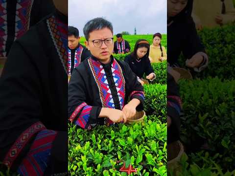 Amazing Works Skills  #workskills#skillsworking#smartwork#amazing