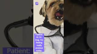 Dr.Dog #mansbestfriend #cutedogs #dog_features #rescuedogs  #doghealth #dogtraining