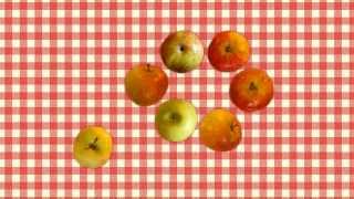 Prime and Composite Numbers Explained Simply | Math is Fun