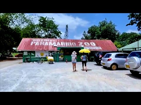 Exploring Paramaribo Zoo Suriname