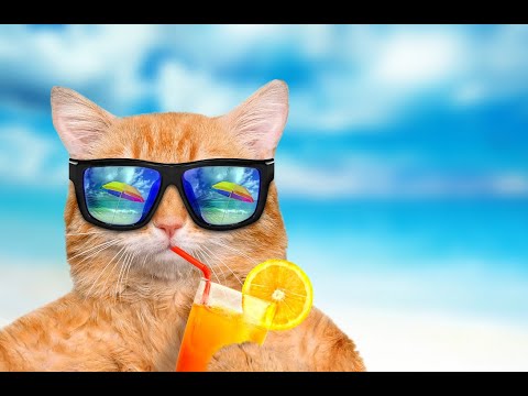 Abc_Music Summer Holiday wishes 2022