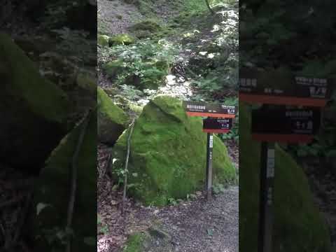 Ojirakawa Canyon #尾白川渓谷 #八ヶ岳