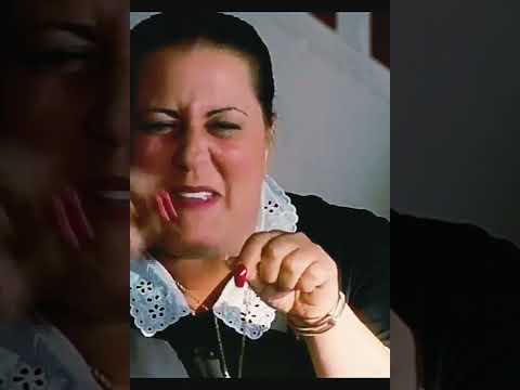 cat  #funny cat #comedy#YouTube short #shorts#DAWN DAWN