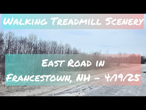 🎥 Virtual Walk: Private Road Behind Crotched Mountain | New Hampshire Nature Tour 🌲