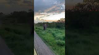 #learningneverstops #learningtogether #homeschoollifestyle #howtohomeschool #homeeducation