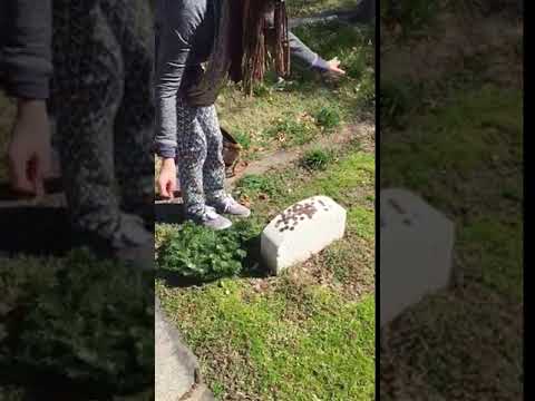 Exorcising John Wilkes Booth (not really)