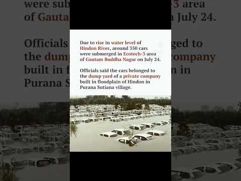 hindon #hindonriver #hindon #delhinewstoday #newstatus #latestnews #floodnewstoday #floodindelhi