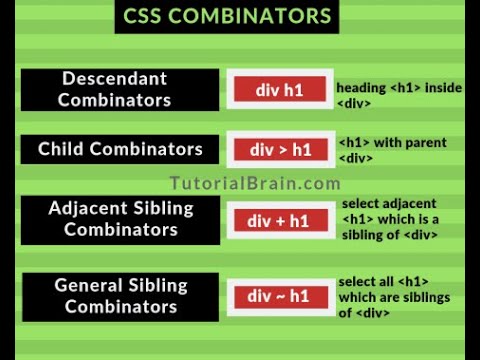 10.  CSS Combinators
