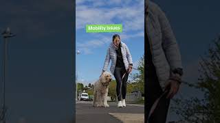 Early symptoms of Multiple Sclerosis. Symptoms of MS. Symptoms I had #symptoms #multiplesclerosis