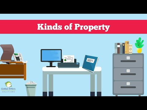 Kinds of Company Assets: Physical Property, Financial Property, Intellectual Property