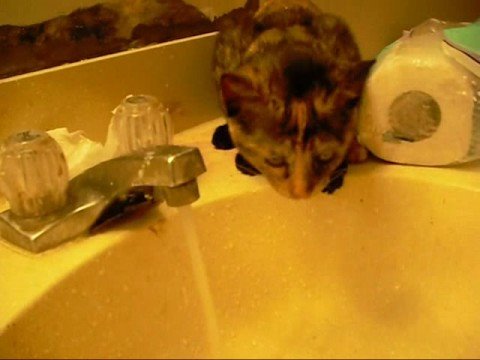 Minda Meets Water.