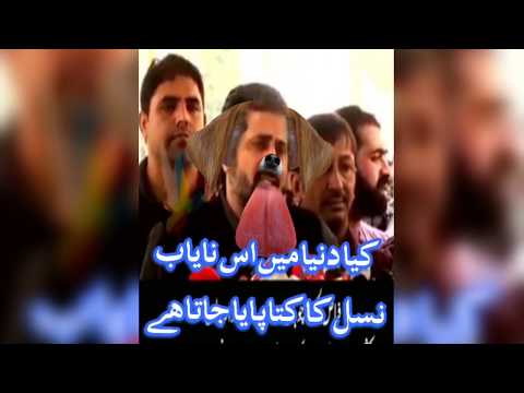Kia dunyan main as nayab nasal ka kuta pata jata he .kp   kashmir point