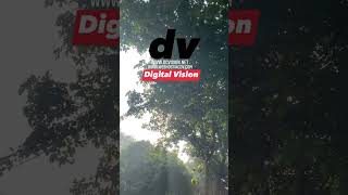Web Development Company #digitalvision #computercollege #webdevelopmentcompany
