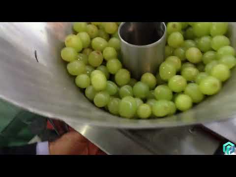 Gentle Volumetric Filler for Fragile Products