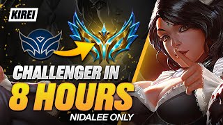 UNRANKED to CHALLENGER in 8 Hours - Nidalee Guide