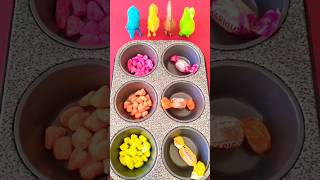 Does Each Color Find Its Place? 🎨👀#VisualMatch#ShortsVideo