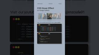 Create a Stunning Image Gallery 🖼️ | Hover Effects Tutorial HTML/CSS| mzcode01 #coding #css #shorts