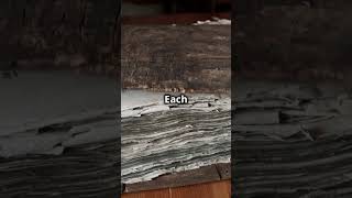 Gutenberg's Bible: The Book That Revolutionized the World #historicalfacts #facts #history