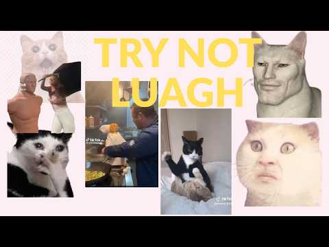 The Funniest Videos of 2026 (Challenge) | FUNNEST STUFF!!    #explore