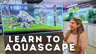 How to Aquascape like a Pro - MAD Aquariums (Store Tour)