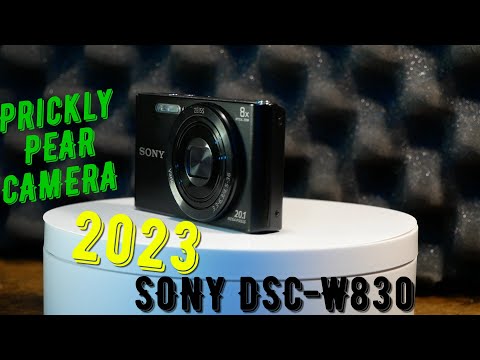 *2023* Sony DSC-W830 Camera Review-Should you Buy?